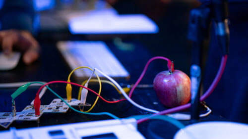 54039857173_3f41737a94_o